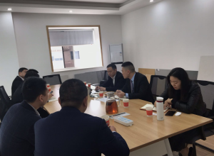 鼎安湖南分公司、津湘集团及保险公司业务合作洽谈会简报
