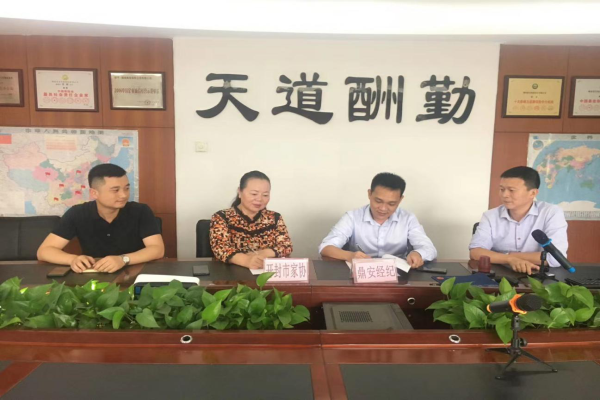 鼎安经纪和开封市家协签订保险经纪合作意向书