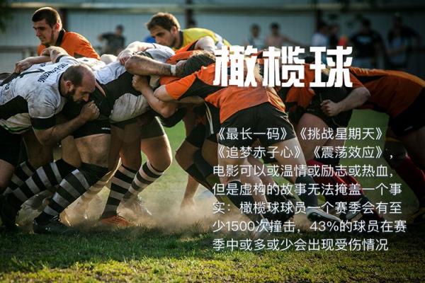 体育保高风险运动意外险
